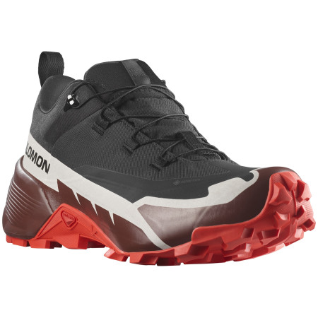 Pánske turistické topánky Salomon Cross Hike 2 Gore-Tex