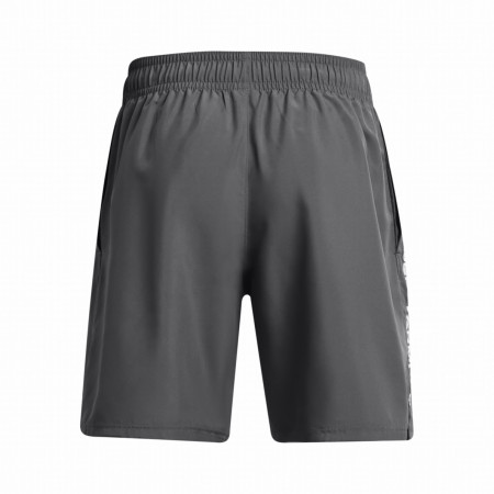 Pánske kraťasy Under Armour Woven Wdmk Shorts