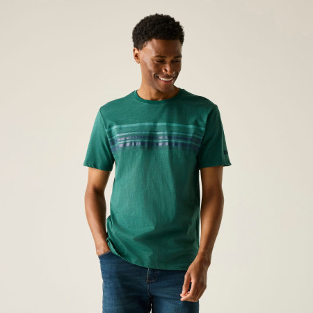 Pánske tričko Regatta Rendro