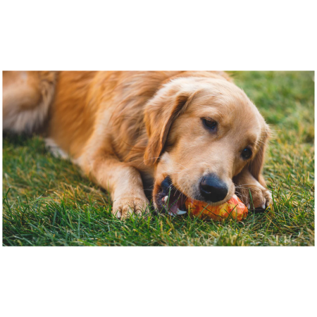 Hračka pre psa Ruffwear Gnawt-a-Cone™ Toy