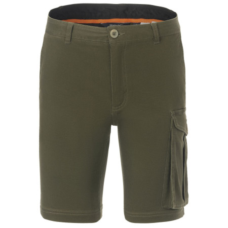 Pánske kraťasy Regatta Bendrick Shorts zelená Dark Khaki