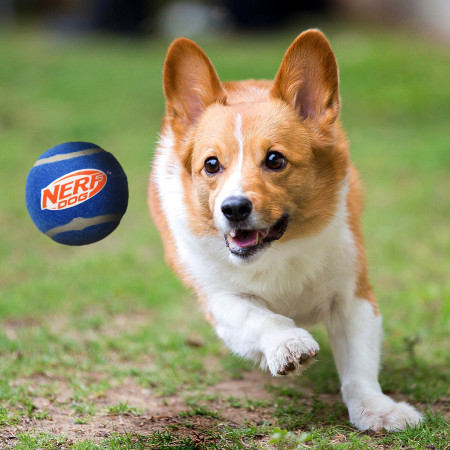Hračka pre psa Nerf Dog Squeak Tennis Ball 3 pcs