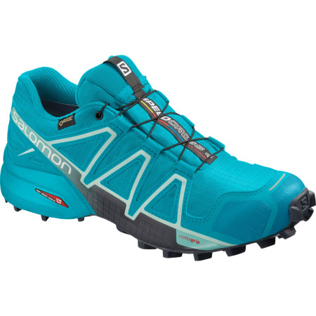 Dámske topánky Salomon Speedcross 4 GTX W