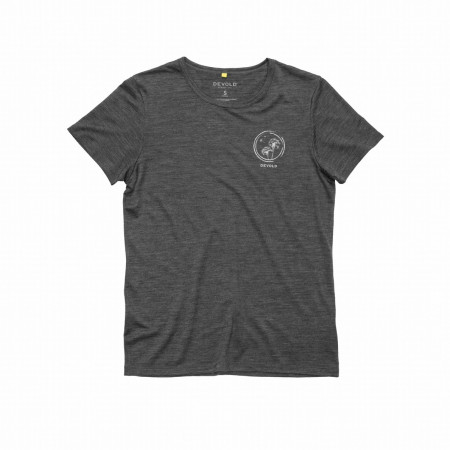 Dámske tričko Devold Active "Spring" Tee Wmn