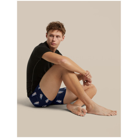 Pánske funkčné boxerky Icebreaker Men M 150 Anatomica Boxers BearTourAOP