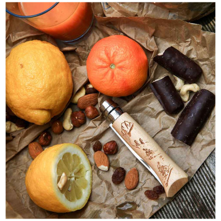 Nôž Opinel Vri N°8 Inox Biking