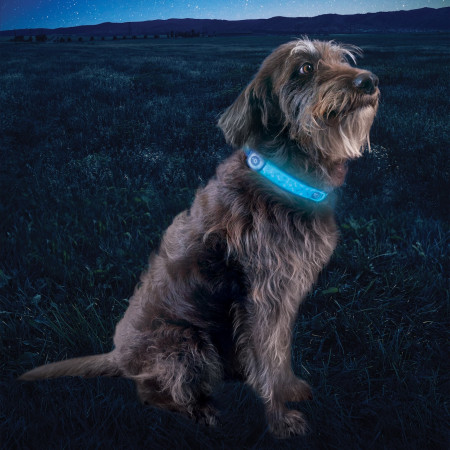 Svietiaci obojok pre psa Nite Ize NiteDog® Rechargeable LED Collar Cover