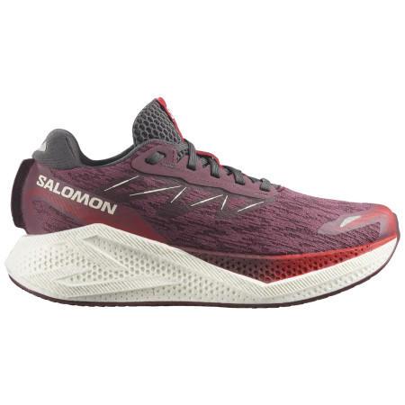Dámske bežecké topánky Salomon Aero Glide 4