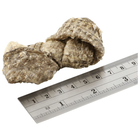 Maškrty pre psov Fish4Dogs Dental Sea Jerky Fish Knots 100g