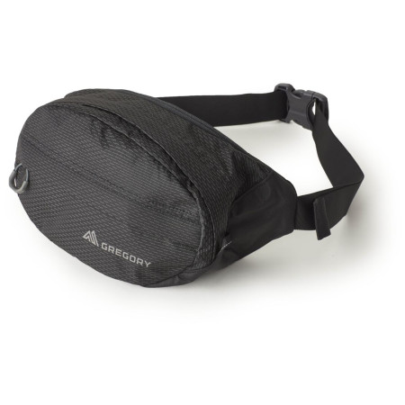 Ľadvinka Gregory Nano Waistpack