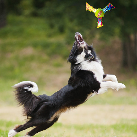 Hračka pre psa Nerf Dog Color Grip Tri Flyer 20 cm