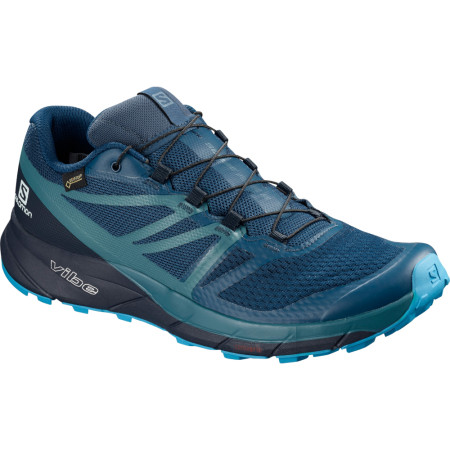 Pánské topánky Salomon Sense Ride2 Gtx Invisible Fit