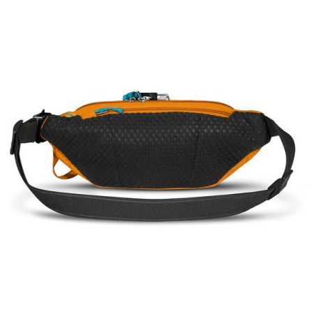 Ľadvinka Pacsafe ECO waist pack