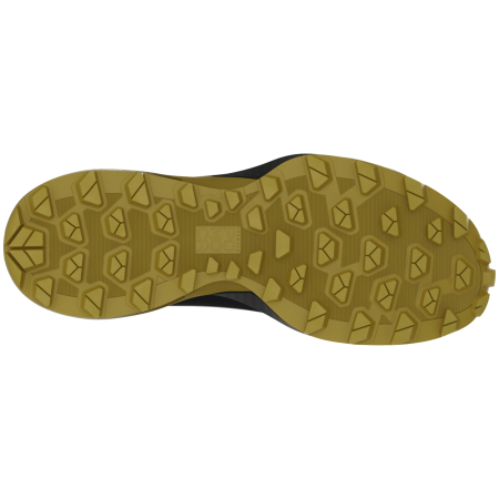 Pánske bežecké topánky Dynafit Ultra Gtx