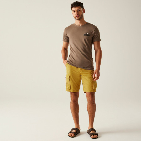 Pánske kraťasy Regatta Shorebay Shorts II