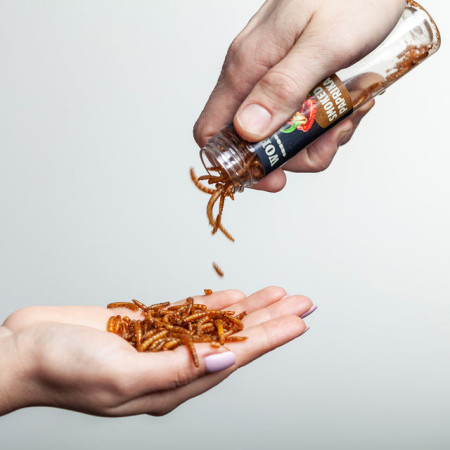 Jedlé červy Sens Dárkový set 4 chutí