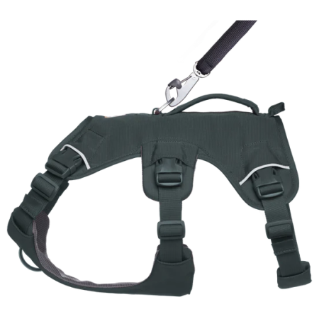 Postroj pre psa Ruffwear Web Master™ Harness