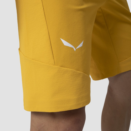 Pánske kraťasy Salewa Agner Dst M Shorts.