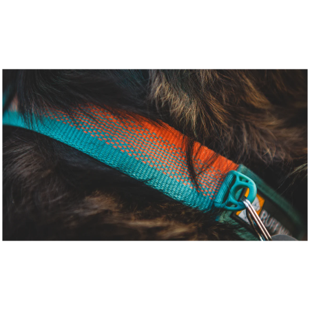Obojok pre psa Ruffwear Front Range™ Collar