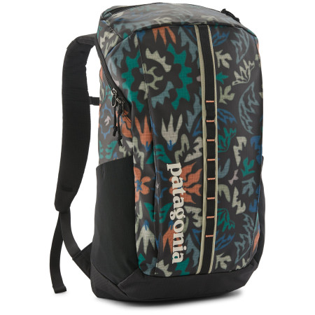 Batoh Patagonia Black Hole Pack 25L