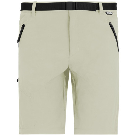 Pánske nohavice Regatta Xert Stretch Z/O Trousers