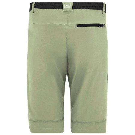 Pánske nohavice Regatta Mountain Z/O Trousers