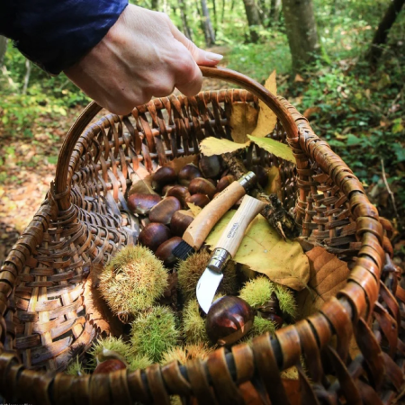 Zatvárací nôž Opinel N°07 Inox