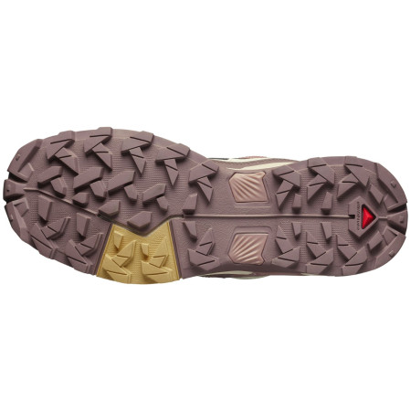 Dámske topánky Salomon X Ultra 5 Gore-Tex