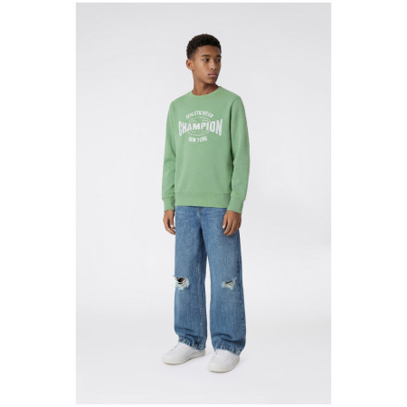 Detská mikina Champion Crewneck Sweatshirt B GMS