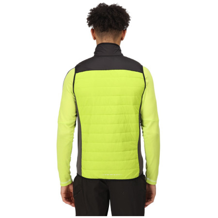 Pánska vesta Regatta Halton BW VI