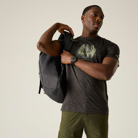 Pánske tričko Regatta Fingal