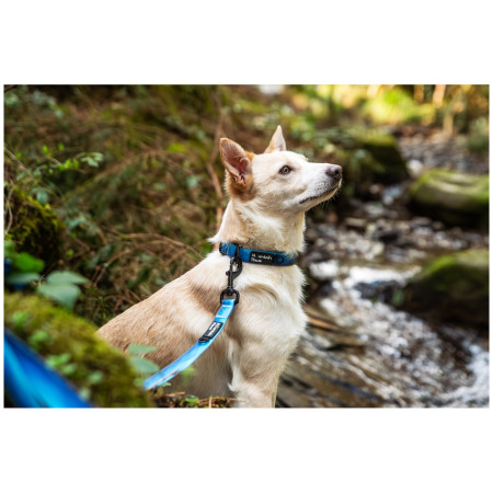 Obojok pre psa Mountain Paws Waterproof Dog Collar