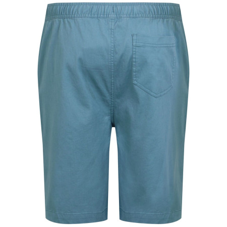 Pánske kraťasy Regatta Aldan Short