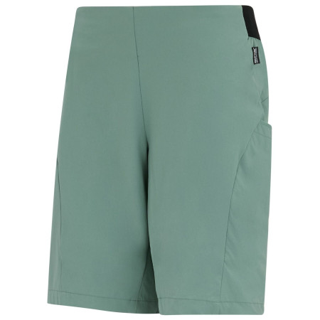 Dámske kraťasy Regatta Women’s Pentre Lite Shorts