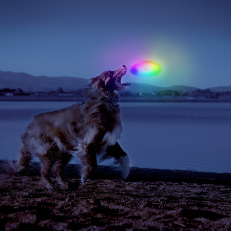 Hračka pre psa Nite Ize Flashflight® Dog Discuit™ LED Flying Disc
