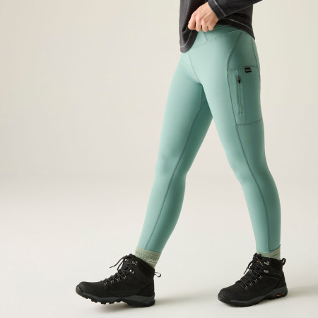 Dámske legíny Regatta Monira Hiking Legging