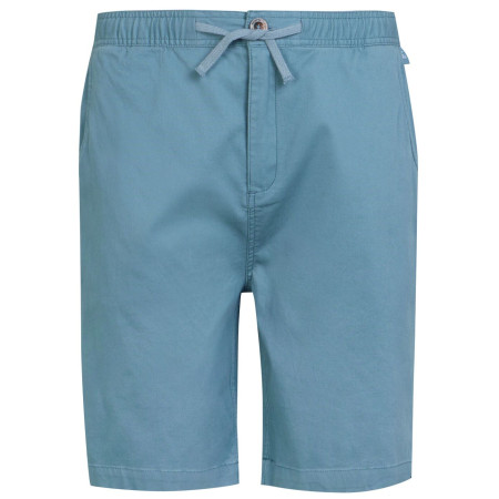 Pánske kraťasy Regatta Aldan Short svetlo modrá