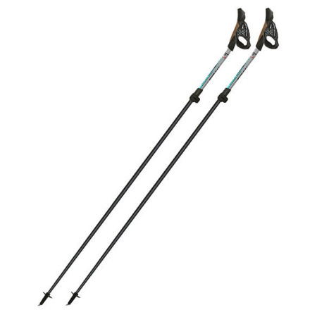 Nordic Walking palice Fizan Tekno Race Impulse sivá Grey