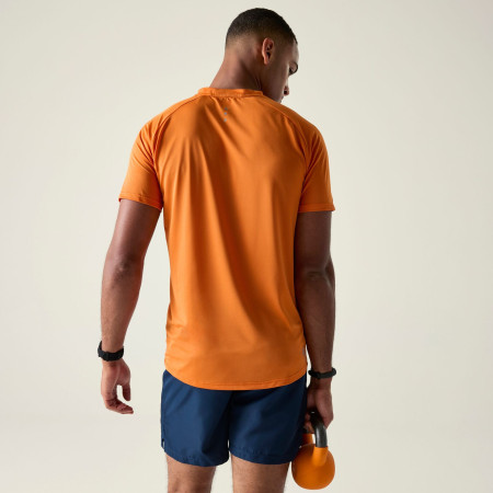 Pánske tričko Dare 2b Tech II Tee