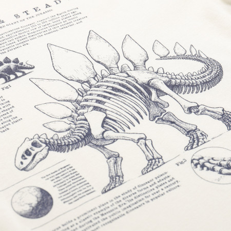 Detské tričko Alpine Pro Ecco 2