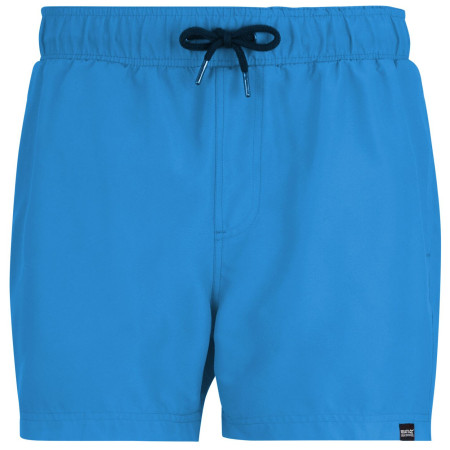 Pánske plavky Regatta Mawson Swim Shorts III