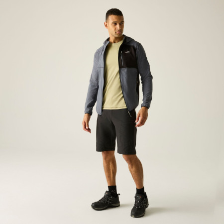 Pánska mikina Regatta Alven