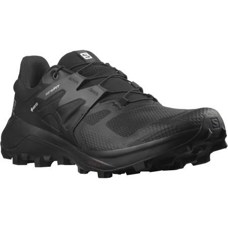 Pánske topánky Salomon Wildcross 2 Gore-Tex