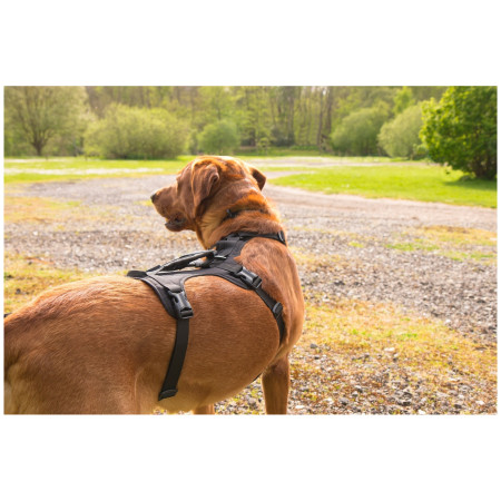 Postroj pre psa Mountain Paws 3-Strap Dog Harness