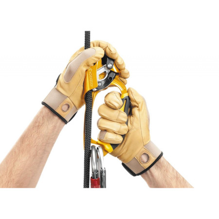 Blokant Petzl Ascension