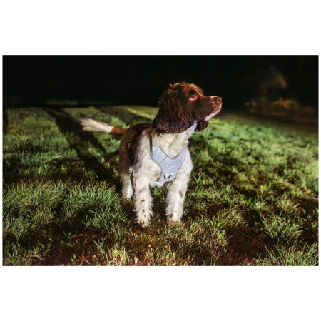 Postroj pre psa Mountain Paws Reflective Dog Harness