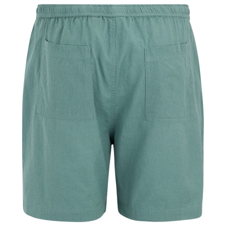 Pánske kraťasy Regatta Hadlin Shorts