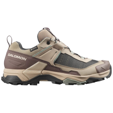 Dámske topánky Salomon X Ultra 5 Gore-Tex