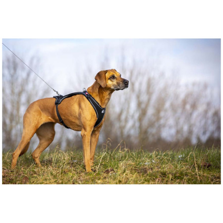 Vôdzka pre psa Curli Ultra Strong Pocket Leash