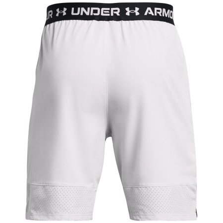 Pánske kraťasy Under Armour Vanish Woven Shorts